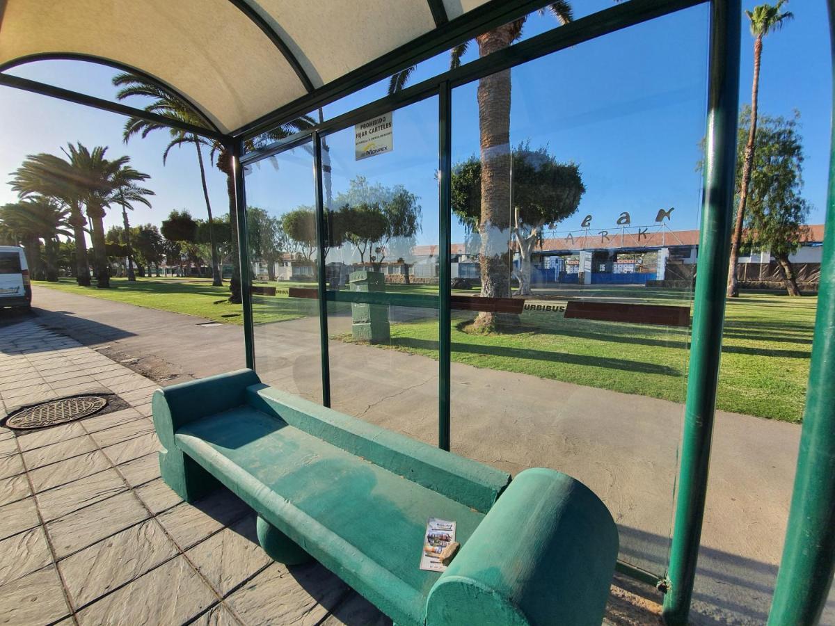 Pool & Wifi Free Shared Flat Private Room By Ocean Park Maspalomas  Luaran gambar